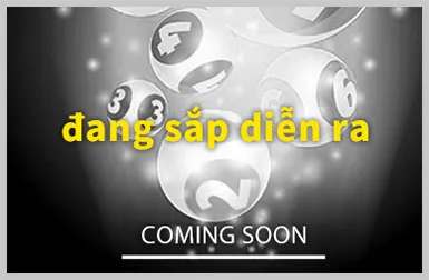 Cá cược có trách nhiệm và nghĩa vụ người dùng